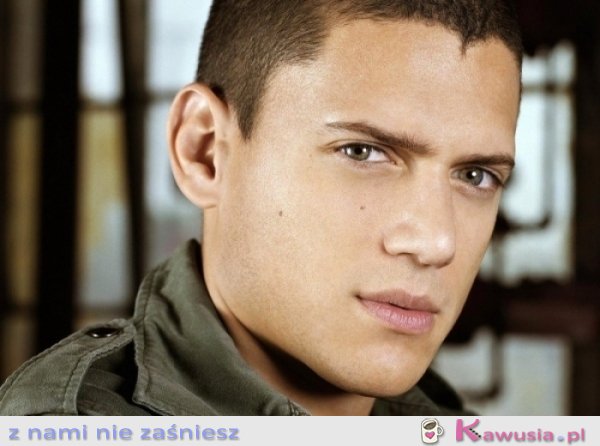 Przystojniak - Wentworth Miller