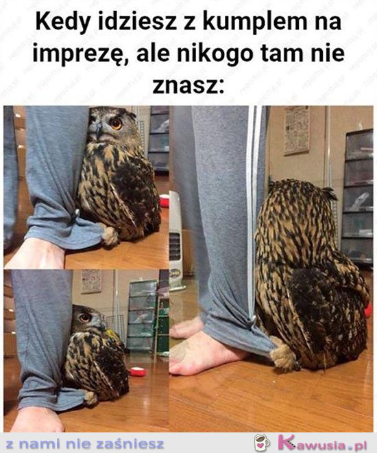 Kiedy nikogo nie znasz