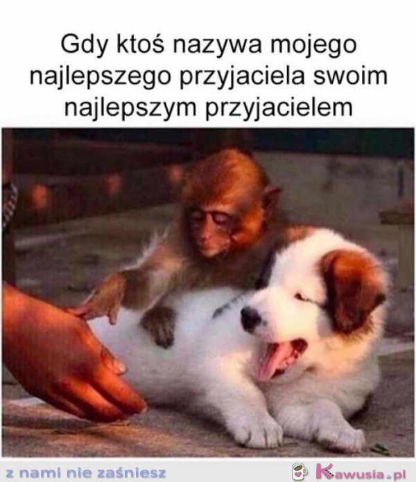 Ejjjj łapy precz