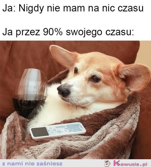 MOJE ŻYCIE TO JEDNA WIELKA PORAŻKA