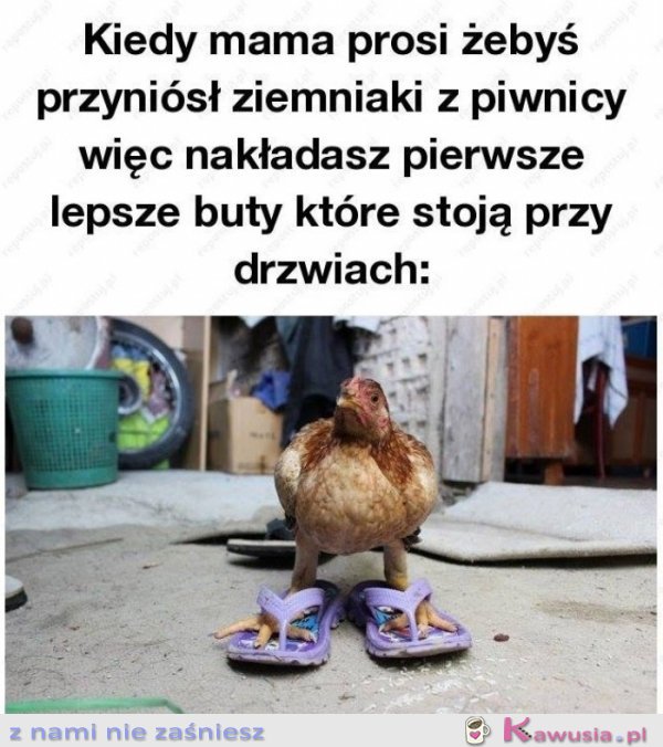 Idz po ziemnioki