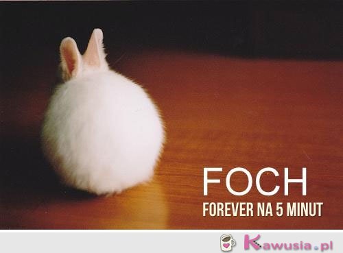 Foch forever na 5 minut