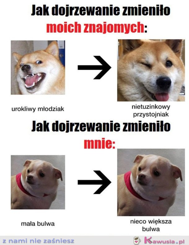 JAK DOJRZEWANIE ZMIENIA