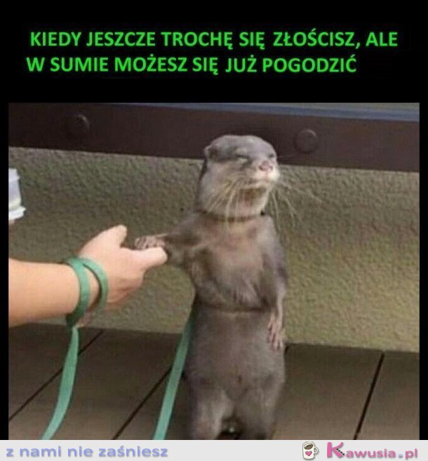 Kiedy jeszcze trochę