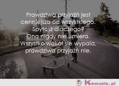 Prawdziwa przyjaźń