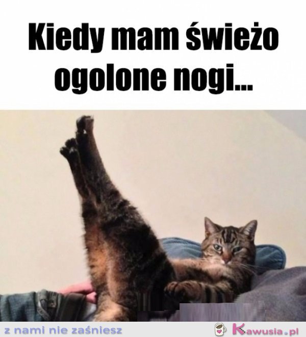 Paczaj na to...