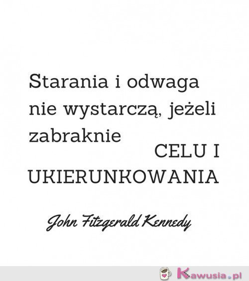 Starania i odwaga...