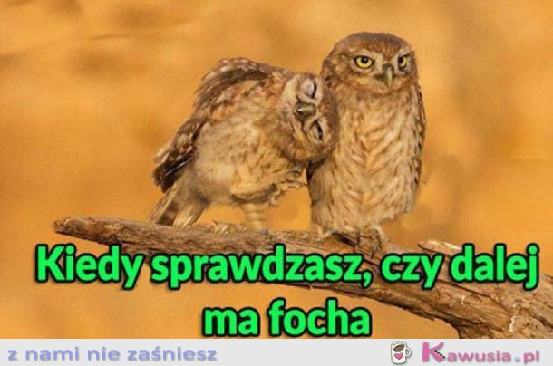 KIEDY SPRAWDZASZ