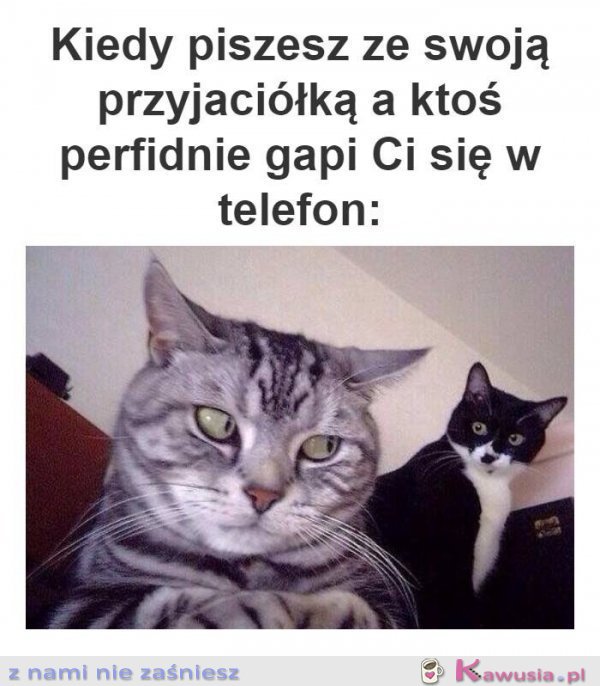 Kiedy piszesz ze swoją przyjaciółką
