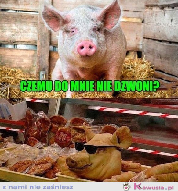 Czemu do mnie nie dzwoni?