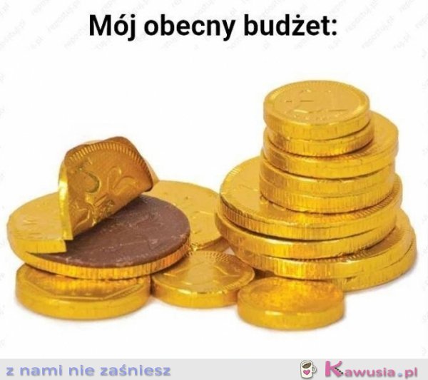 Mój obecny budżet