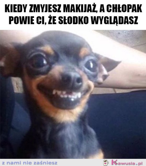 OJEJ JAK SŁODKO