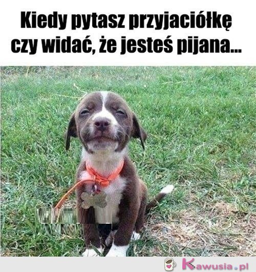 No i jak... 