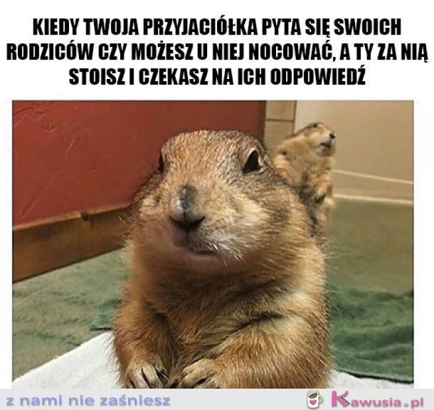 NOCOWANIE U PRZYJACIÓŁKI