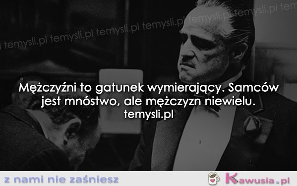 Mężczyźni to gatunek wymierający...