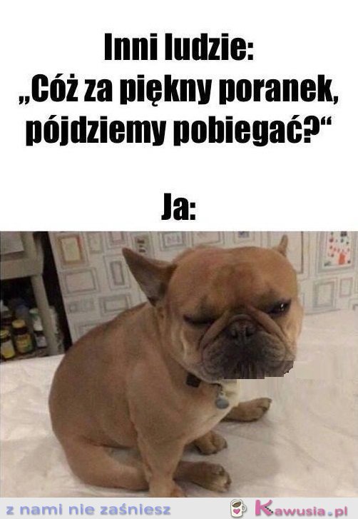 Czy to żart?