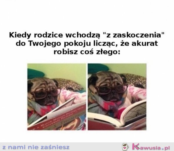 Ja przecież nie robię nic złego