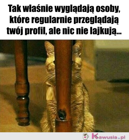 Po co być takim wstydliwym...