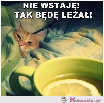 Nie wstaję