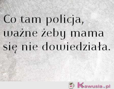 Co tam policja