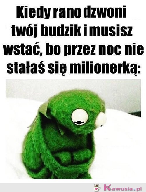 Może jutro...