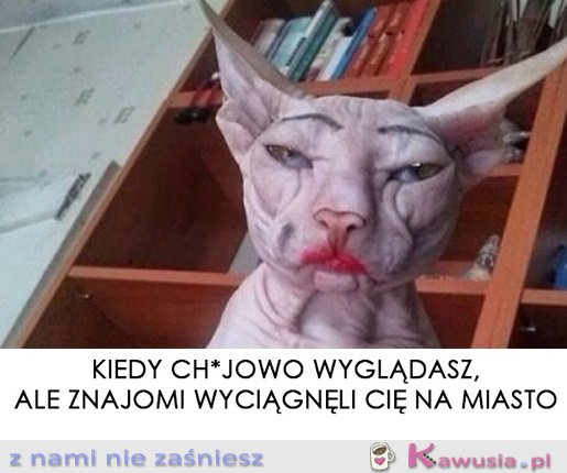 Starałam się...