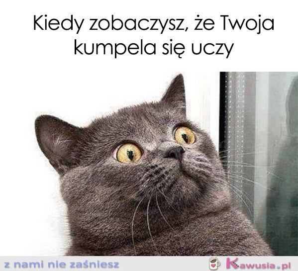 Kiedy zobaczysz, że Twoja kumpela...