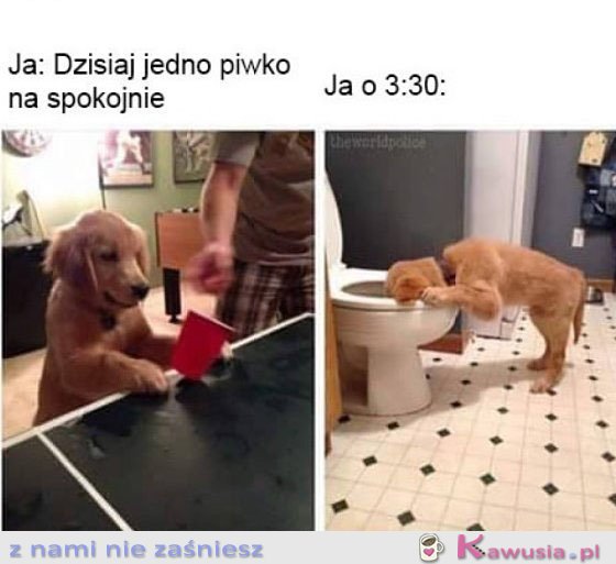 Jedno piwko na spokojnie