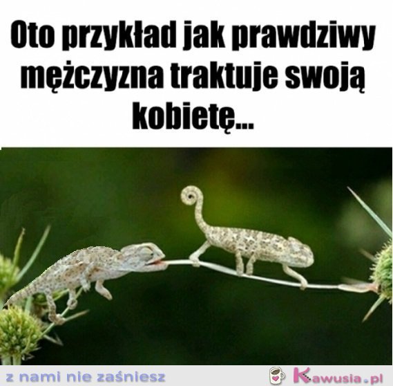 Patrzcie i uczcie się Panowie...