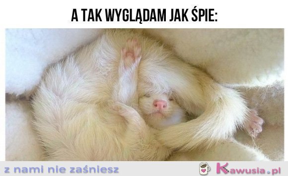 Tak wyglądam jak śpię...