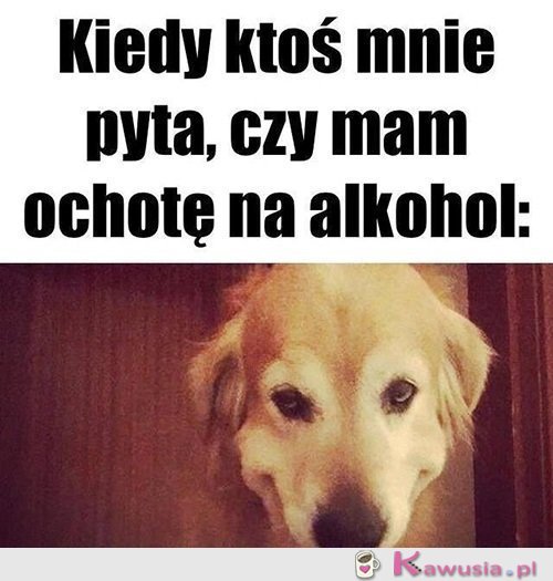 Nie mówię nie...