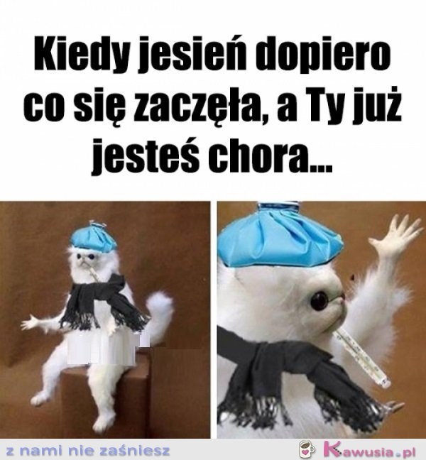 Heloł...