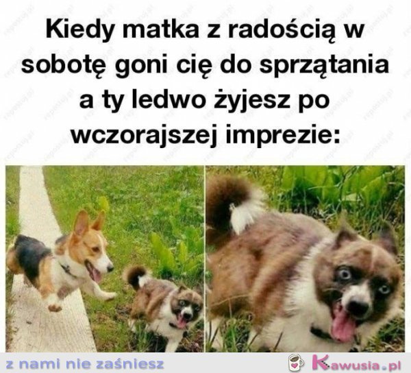 TO UCZUCIE 