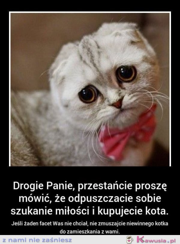 Drogie panie, przestańcie proszę