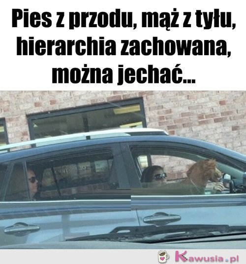No to w drogę...