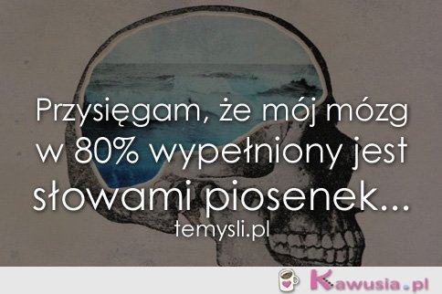 Przysięgam, że mój mózg