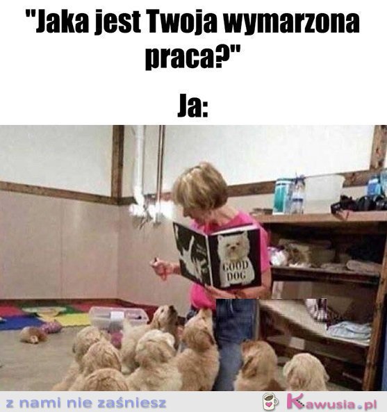 Idealnie...