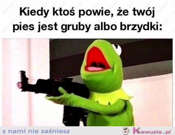 Kiedy ktoś obrazi mojego psa