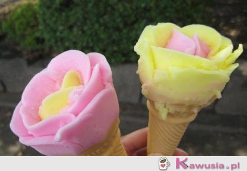 Lody różyczki