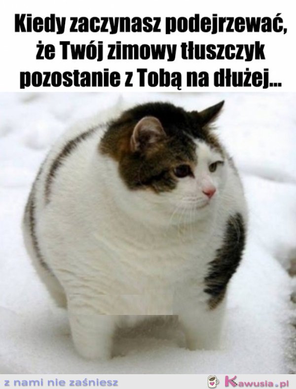 Tak coś czuję...