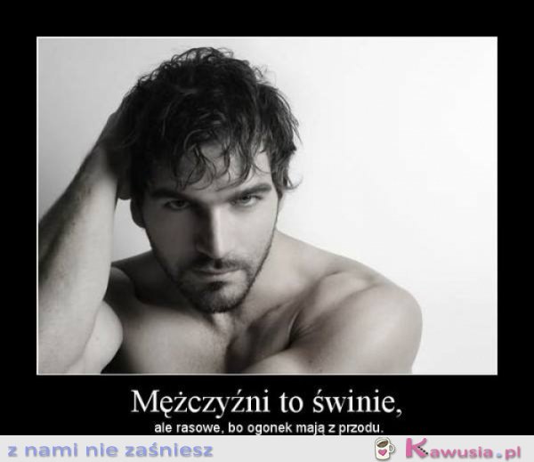 Mężczyźni to świnie