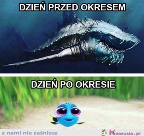 Dzień przed i po