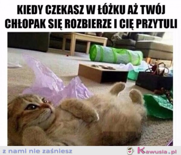 Kotek chodź do łóżeczka