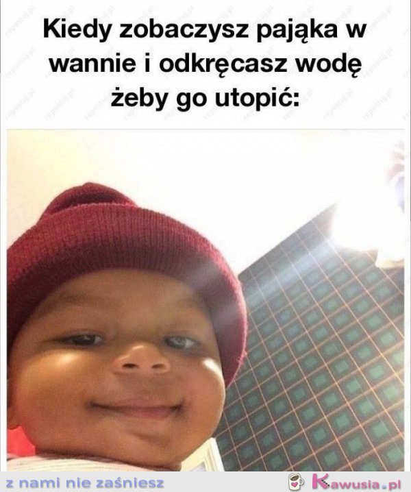 Za każdym razem kiedy widzę pająka