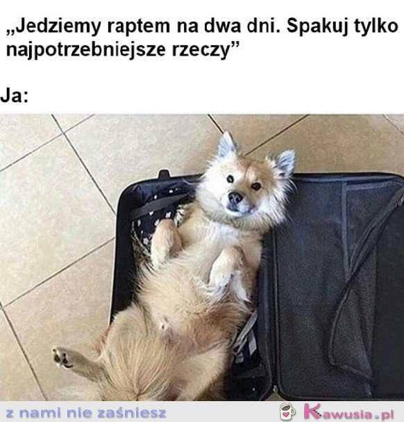 SPAKOWANA DO PODRÓŻY