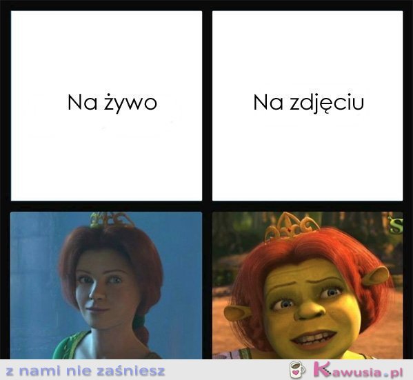 Na żywo, a na zdjęciu