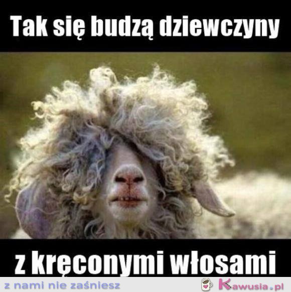 Dziewczyny z kręconymi włosami