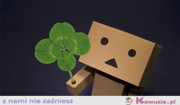 Czterolistna koniczynka