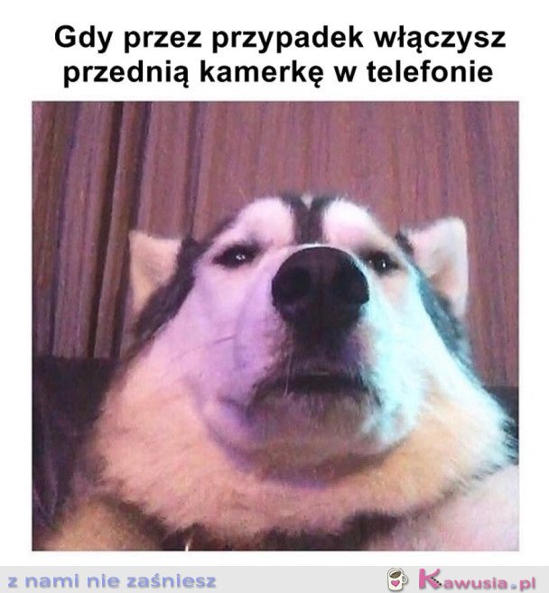 KIEDY PRZEZ PRZYPADEK...