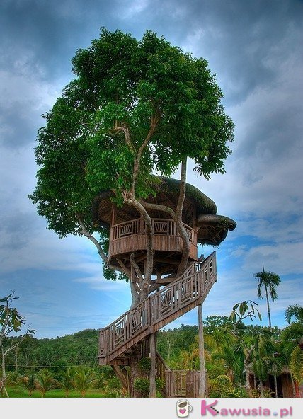 Niesamowity domek na drzewie